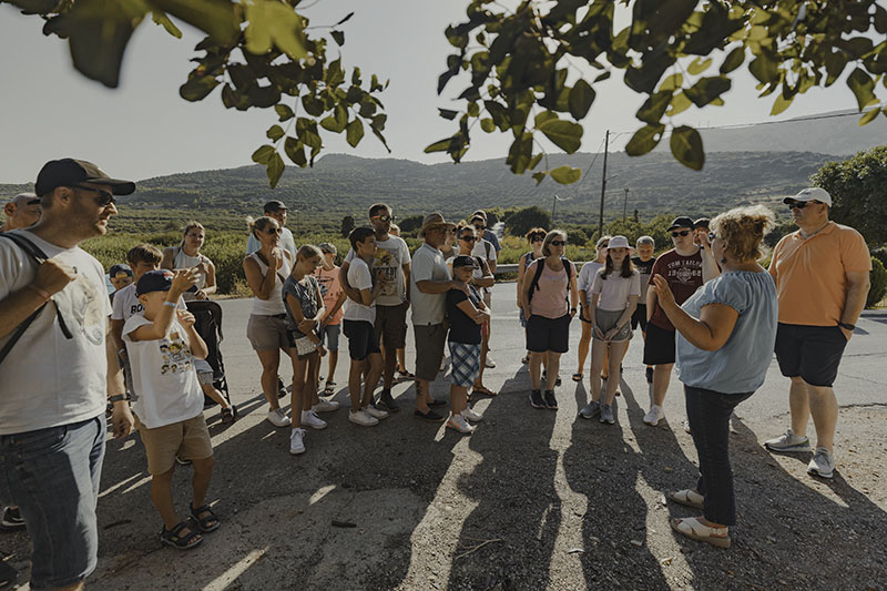 Curated excursions across Eastern Crete